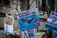 Rechazo al proyecto de ley de Hidrocarburos: “Destruirá los ecosistemas marinos”