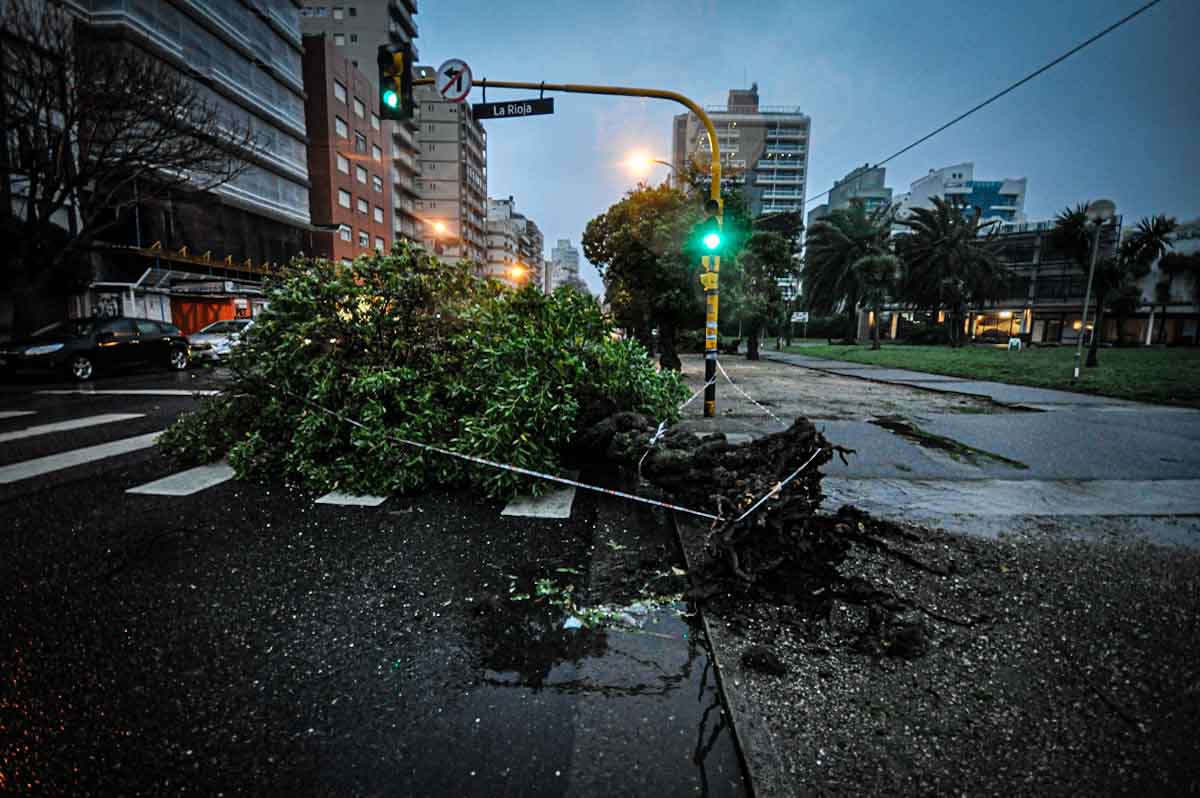 Temporal en Mar del Plata: más de 20 techos volados, 50 árboles caídos y diversos daños