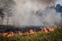 Incendios forestales: refuerzan la prevención ante el pronóstico de calor y fuerte viento