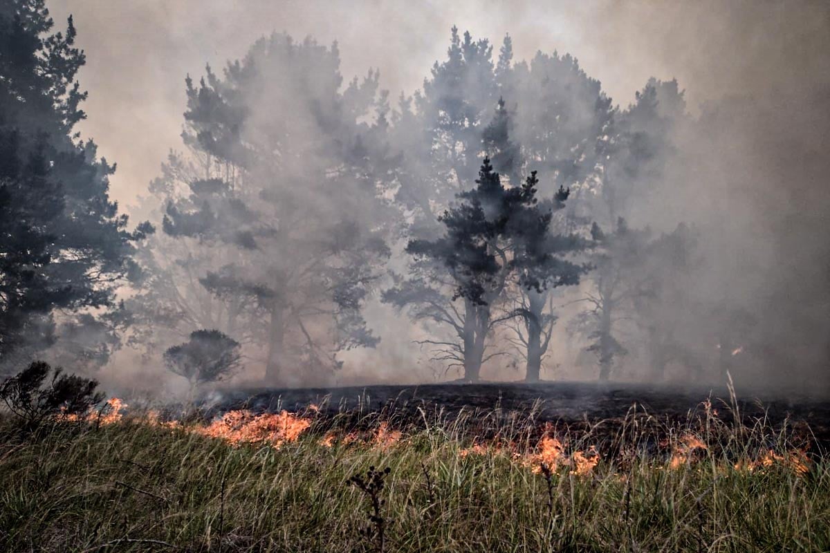 Emiten un nuevo alerta por riesgo “muy alto” de incendios en Mar del Plata