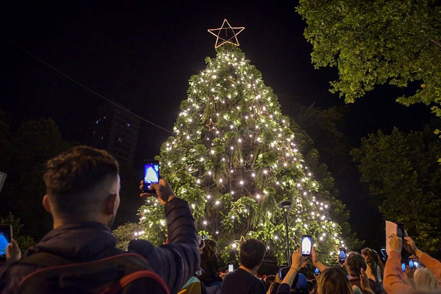 Se encendieron las luces del árbol de Navidad y ya se palpitan las fiestas en Mar del Plata