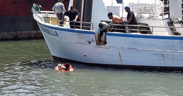Prefectura rescató a un perro que no podía salir de mar