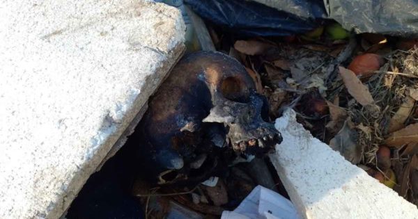 Hallan dos cráneos incinerados en un basural del barrio Jorge Newbery