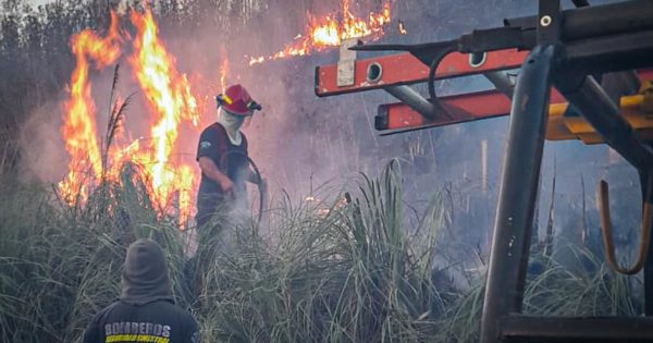 Un importante incendio afectó a un campo ubicado en Batán