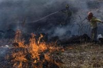 Ocho bomberos de Mar del Plata combaten los incendios en Corrientes