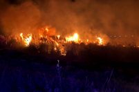 Un incendio de pastizales afectó cinco hectáreas del predio de OSSE en la Ruta 11