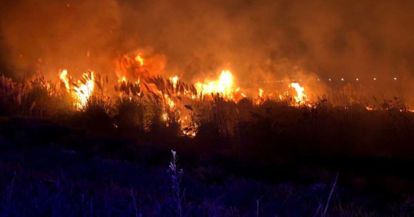 Un incendio de pastizales afectó cinco hectáreas del predio de OSSE en la Ruta 11