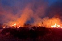 Bomberos combatieron un incendio de pastizales en la rotonda del Faro