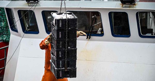 Pesca: equipan buques marplatenses con cámaras para crear un sistema de monitoreo