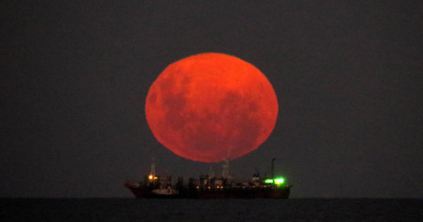 La Luna Rosa, el espectáculo que cautivó a marplatenses y turistas 