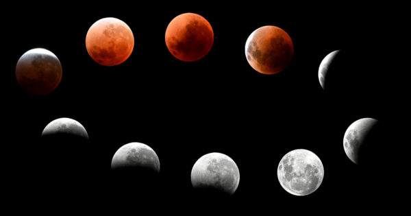 Luna de Sangre: así se vio el eclipse lunar total en Mar del Plata 
