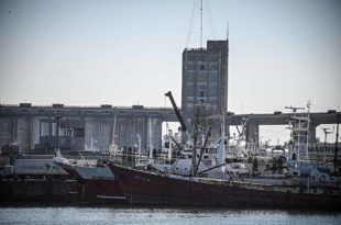 La paritaria pesquera, sin avances: el SOMU vuelve a demorar la salida de buques