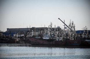 Petroleras: gremios y sectores portuarios, contra la “demora judicial”