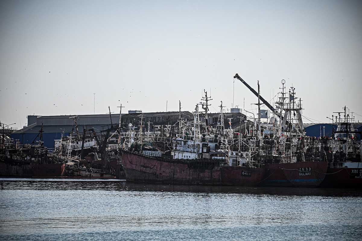 Pesca: tras el dictamen, la Asociación de Capitanes pide ser convocada