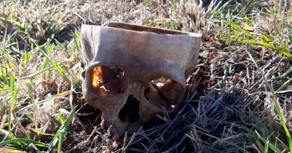 Hallaron restos óseos humanos en un descampado del barrio Libertad
