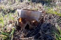 Hallaron restos óseos humanos en un descampado del barrio Libertad
