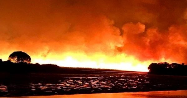 Reserva de Mar Chiquita: bomberos de Mar del Plata colaboraron en un voraz incendio