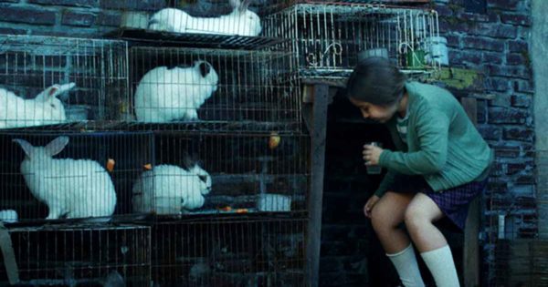 “La casa de los conejos”: la dictadura desde la mirada de una niña