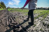 Pequeños productores piden crear una “mesa de crisis” de la agricultura familiar