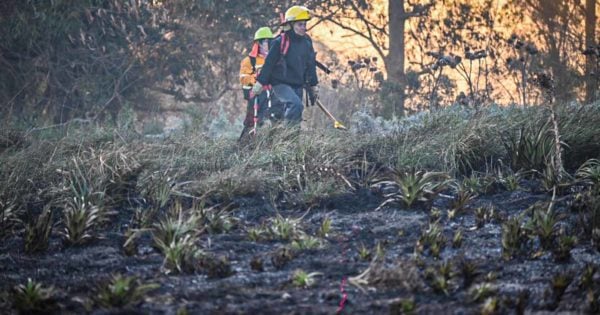 Incendios forestales: advertencia de cara al verano y lanzamiento de un “plan integral”