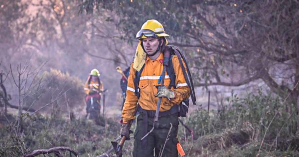 Prevención y coordinación de operativos por la temporada de incendios forestales