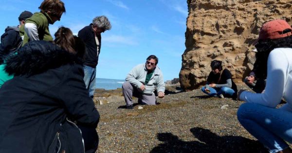 Nuevo hallazgo paleontológico en Mar del Plata: peces de hace 450 millones de años