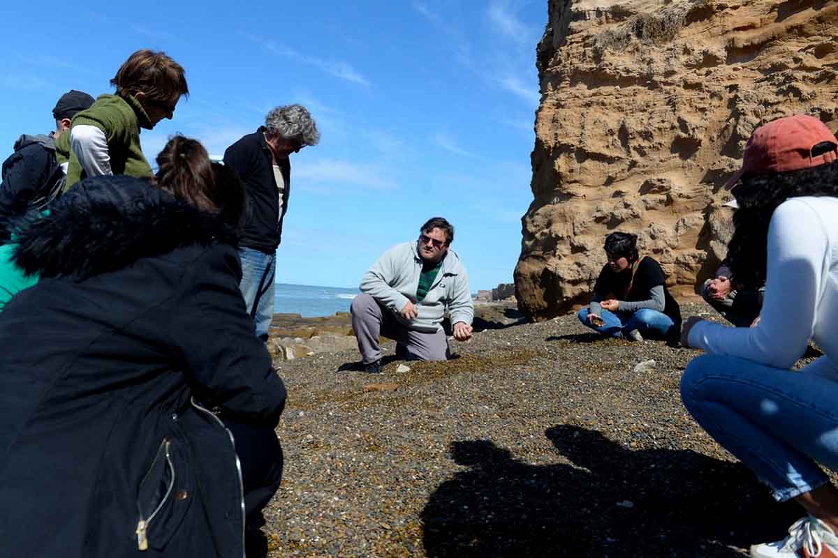 Nuevo hallazgo paleontológico en Mar del Plata: peces de hace 450 millones de años