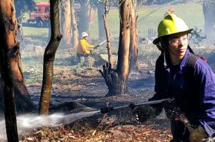 Sofocan un nuevo incendio forestal en Sierra de los Padres