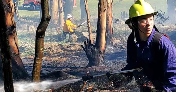 Sofocan un nuevo incendio forestal en Sierra de los Padres
