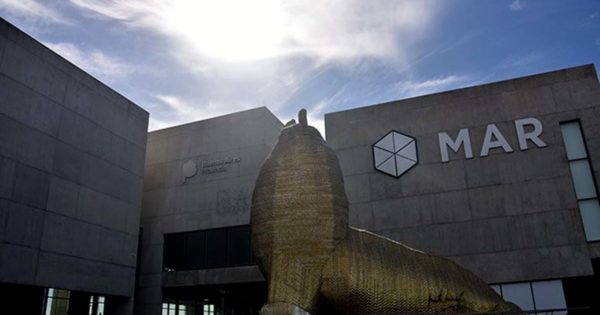 Verano 2023: el Museo MAR renueva sus muestras y actividades