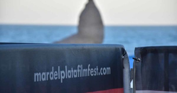 Festival de Cine de Mar del Plata: con aranceles, abrieron la inscripción por la web