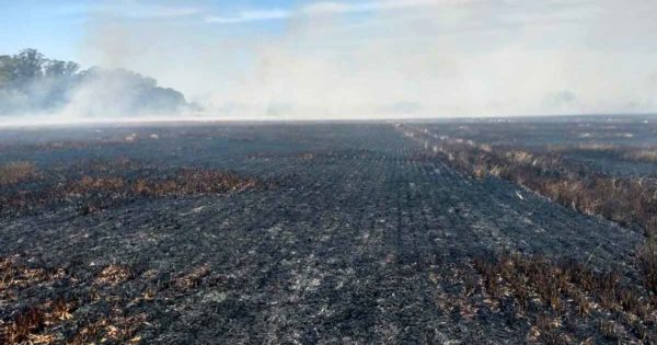 Bomberos combatieron un incendio forestal sobre 24 hectáreas