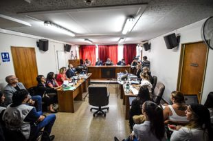 Lucía Pérez, segundo juicio: una ginecóloga advirtió lesiones en la zona genital
