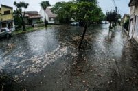 Tras el calor, la tormenta: intensa lluvia y fuerte viento en Mar del Plata 