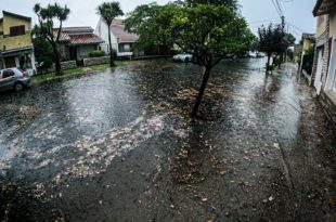 Tras el calor, la tormenta: intensa lluvia y fuerte viento en Mar del Plata 