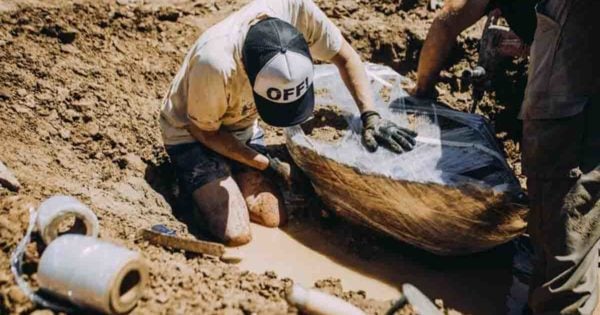 Hallaron dos gliptodontes de 3 millones de años de antigüedad en Chapadmalal