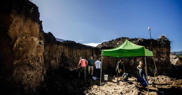 Trabajan para recuperar restos de un gliptodonte hallados a metros del Museo Scaglia