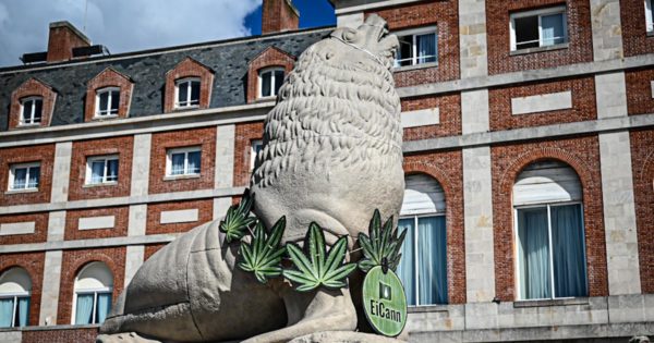 Por segundo año, Mar del Plata recibe a la “Expoindustria cannabis y cáñamo”