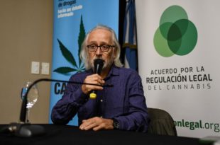 Cannabis recreativo y medicinal: la experiencia uruguaya de “romper con el tabú”