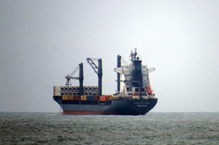 Puerto: Mar del Plata cerró el 2022 con una caída en las operaciones con contenedores