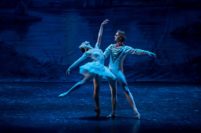 “El lago de los cisnes”, un clásico del ballet internacional para disfrutar en Mar del Plata