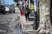 Elecciones 2023: viajar en colectivo volverá a ser gratis el domingo en Mar del Plata