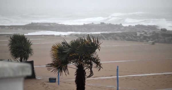 Emiten un alerta amarillo por fuerte viento para Mar del Plata
