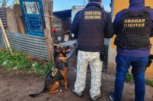 Operativo “Castillos Blancos”: once allanamientos y siete detenidos por venta de drogas