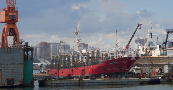 Un barco chocó contra la Escollera Norte: un tripulante herido