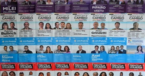 El cuarto oscuro en las elecciones en Mar del Plata: 34 listas en 8 categorías