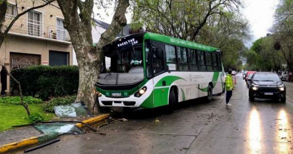 Un colectivo chocó contra un árbol: doce pasajeros fueron asistidos