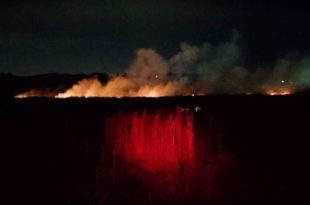 Nuevo incendio de malezas en Batán: alcanzó un frente de mil metros