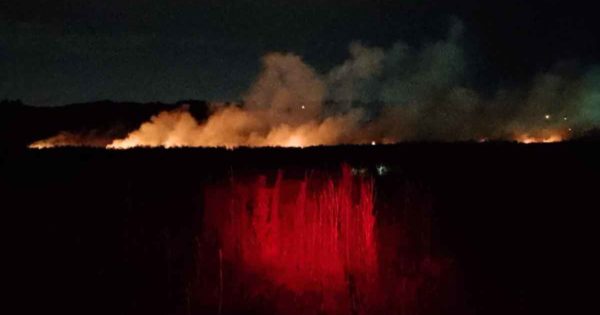 Nuevo incendio de malezas en Batán: alcanzó un frente de mil metros