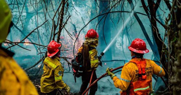 Sierra de los Padres: controlaron el incendio forestal pero sigue el operativo